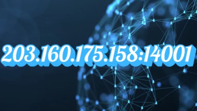 203.160.175.158.14001: Guide to Network Use, Risks, and Safety